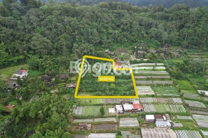 Tanah Investasi Dijual di Tabanan Punya Luas 5625m2 Tanah Investasi Dijual di Tabanan Punya Luas 5625m2