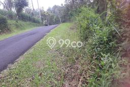 Tanah Dijual Lokasi Petang Badung SHM Tanah Dijual Lokasi Petang Badung SHM