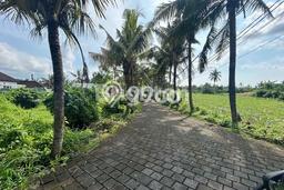 Tanah Kavling Dijual di Gianyar dengan Spesifikasi 3500m2 Tanah Kavling Dijual di Gianyar dengan Spesifikasi 3500m2