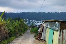 Tanah Strategis Dijual di Sukasada Buleleng 550m2 Tanah Strategis Dijual di Sukasada Buleleng 550m2