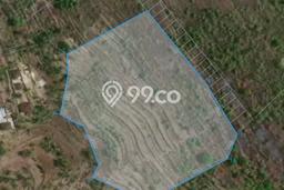 Tanah Kavling Dijual di Nusa Penida, Klungkung dengan Luas Tanah 13700m2 Tanah Kavling Dijual di Nusa Penida, Klungkung dengan Luas Tanah 13700m2