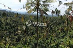 Tanah Kavling Dijual di Batuagung, Jembrana dengan Luas Tanah 12000m2 Tanah Kavling Dijual di Batuagung, Jembrana dengan Luas Tanah 12000m2