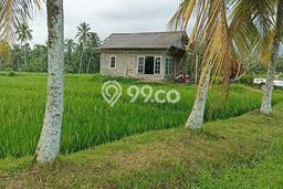 Lahan untuk Dijual Lokasi Penebel, Tabanan Luas 3280m2 SHM Lahan untuk Dijual Lokasi Penebel, Tabanan Luas 3280m2 SHM