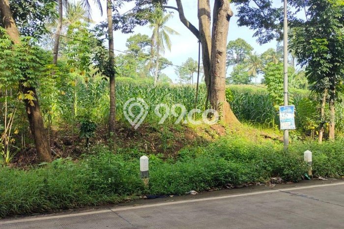 Lahan Dijual Lokasi Boja, Kendal dengan Luas Tanah 2048m2 dan Status SHM Lahan Dijual Lokasi Boja, Kendal dengan Luas Tanah 2048m2 dan Status SHM