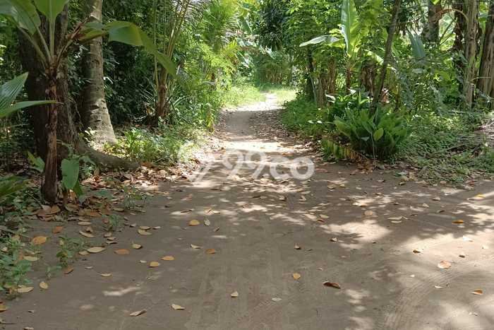 Tanah Kavling untuk Dijual di Gerokgak Buleleng 23360m2 Tanah Kavling untuk Dijual di Gerokgak Buleleng 23360m2