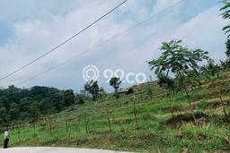 Kavling Tanah Dijual di Pacet Mojokerto Spesifikasi 1923m2 Kavling Tanah Dijual di Pacet Mojokerto Spesifikasi 1923m2