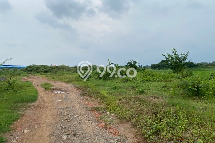 Untuk Dijual Tanah di Jatiwangi Majalengka Luas 200000m2 SHM Untuk Dijual Tanah di Jatiwangi Majalengka Luas 200000m2 SHM
