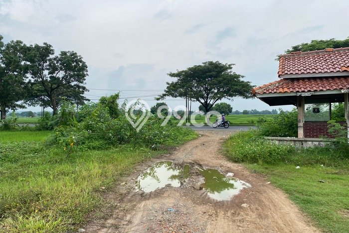 Untuk Dijual Tanah di Jatiwangi Majalengka Luas 200000m2 SHM Untuk Dijual Tanah di Jatiwangi Majalengka Luas 200000m2 SHM