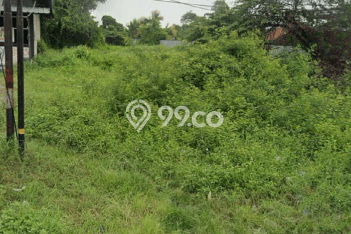 Tanah untuk Dijual di Kedawung Cirebon Luas 1024m2 Tanah untuk Dijual di Kedawung Cirebon Luas 1024m2