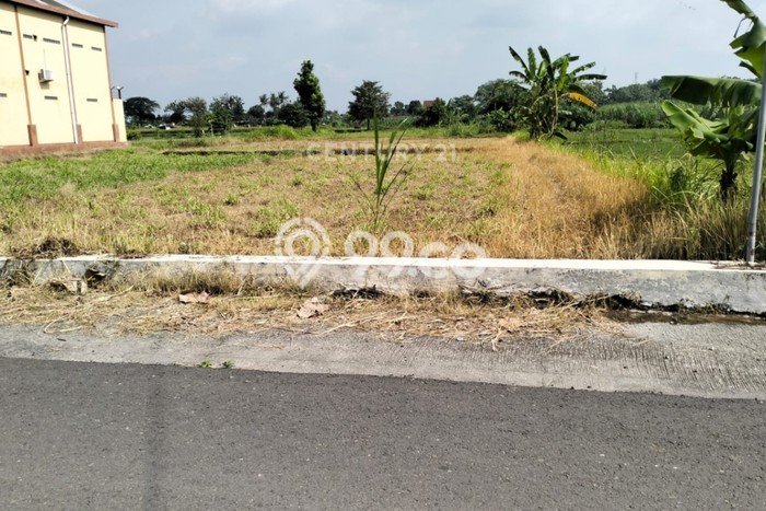 Jarang Ada! Tanah di Banguntapan Punya Luas 1369m2 SHM Jarang Ada! Tanah di Banguntapan Punya Luas 1369m2 SHM