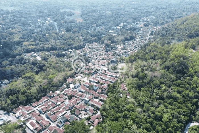 Tanah Kavling untuk Dijual di Sedayu Bantul 2015m2 Tanah Kavling untuk Dijual di Sedayu Bantul 2015m2