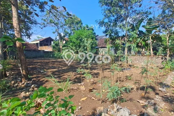 Kavling Tanah di Wonosari Dijual Luas 341m2 Legalitas SHM Kavling Tanah di Wonosari Dijual Luas 341m2 Legalitas SHM