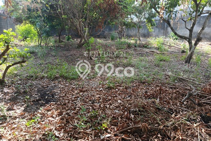 Kavling Tanah di Ngaglik Dijual Luas 742m2 Legalitas SHM Kavling Tanah di Ngaglik Dijual Luas 742m2 Legalitas SHM