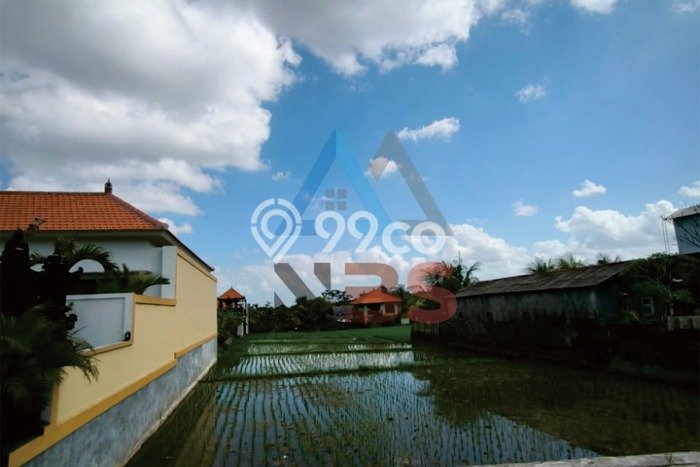 Tanah Area Strategis Kawasan Kedungu, Luas 1950m2m², Ideal untuk Bisnis Tanah Area Strategis Kawasan Kedungu, Luas 1950m2m², Ideal untuk Bisnis