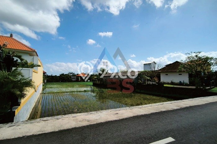 Tanah Area Strategis Kawasan Kedungu, Luas 1950m2m², Ideal untuk Bisnis Tanah Area Strategis Kawasan Kedungu, Luas 1950m2m², Ideal untuk Bisnis