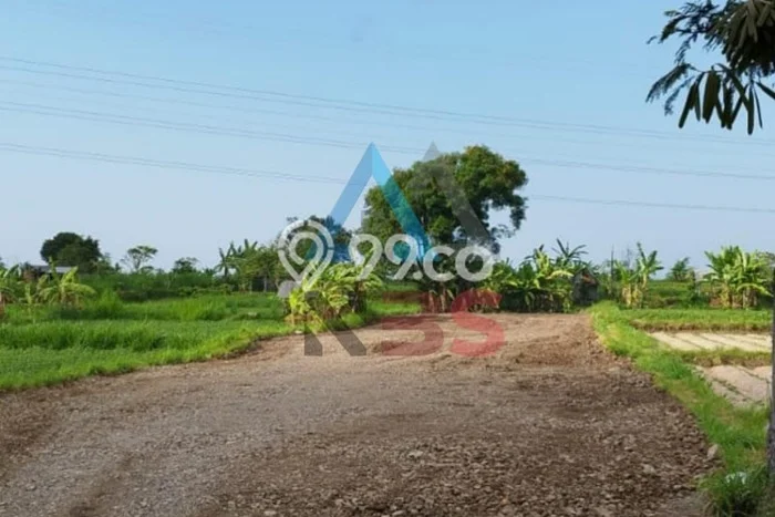 LOKASI STRATEGIS! Tanah di Ketewel, Luas 2484m2m², Kawasan Potensial, Cocok untuk Investasi LOKASI STRATEGIS! Tanah di Ketewel, Luas 2484m2m², Kawasan Potensial, Cocok untuk Investasi