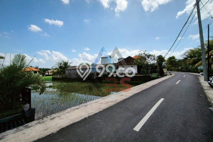 Tanah Area Strategis Kawasan Kedungu, Luas 1950m2m², Ideal untuk Bisnis Tanah Area Strategis Kawasan Kedungu, Luas 1950m2m², Ideal untuk Bisnis