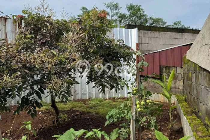 Dijual Rumah Murah di Gunung Pati Semarang Harga Rp 475 Juta LT 140m2 Dijual Rumah Murah di Gunung Pati Semarang Harga Rp 475 Juta LT 140m2