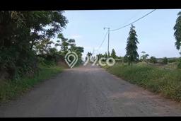 Jarang Ada! Tanah di Situbondo Punya Luas 10529m2 AJB Jarang Ada! Tanah di Situbondo Punya Luas 10529m2 AJB