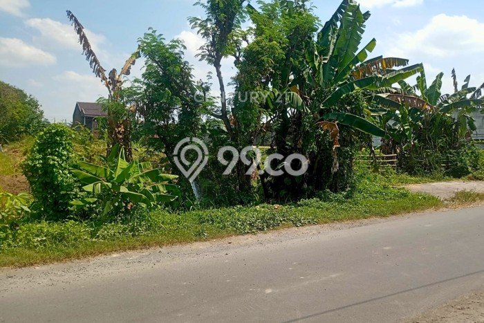 Untuk Dijual Tanah 1243m2 di Maguwoharjo, Yogyakarta Untuk Dijual Tanah 1243m2 di Maguwoharjo, Yogyakarta