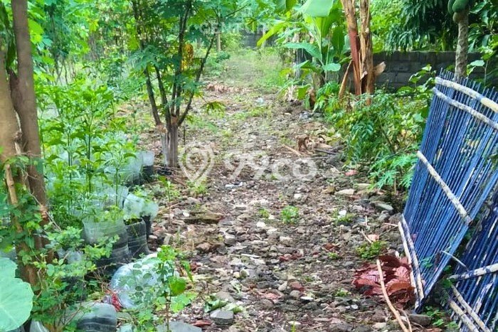 Kavling Tanah di Banguntapan Dijual Luas 703m2 Legalitas SHM Kavling Tanah di Banguntapan Dijual Luas 703m2 Legalitas SHM