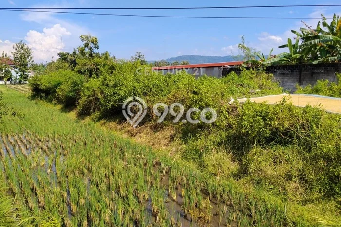 Lahan untuk Dijual Lokasi Pundong, Bantul Luas 2210m2 SHM Lahan untuk Dijual Lokasi Pundong, Bantul Luas 2210m2 SHM