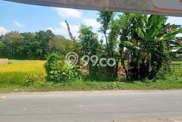 Untuk Dijual Tanah 1243m2 di Maguwoharjo, Yogyakarta Untuk Dijual Tanah 1243m2 di Maguwoharjo, Yogyakarta