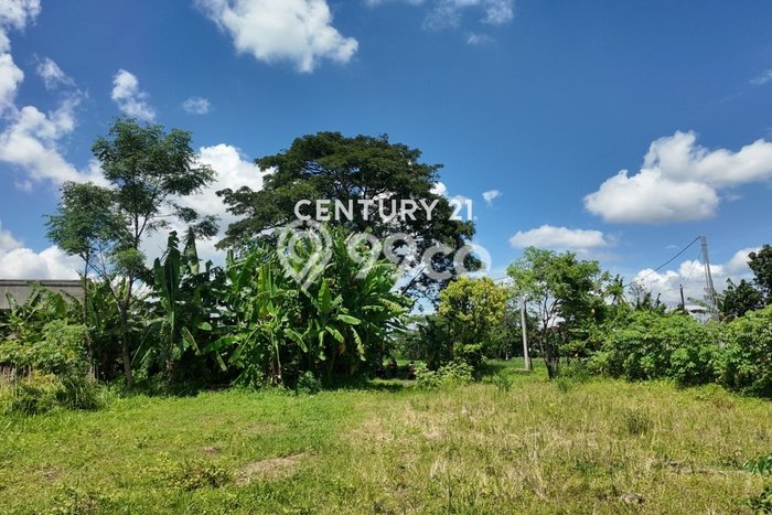 Tanah Kavling Dijual di Yogyakarta dengan Spesifikasi 1064m2 Tanah Kavling Dijual di Yogyakarta dengan Spesifikasi 1064m2