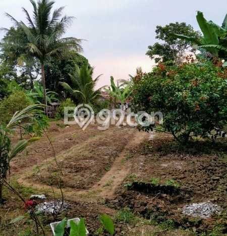 Jarang Ada! Tanah di Rangkasbitung Punya Luas 1668m2 - Jarang Ada! Tanah di Rangkasbitung Punya Luas 1668m2 -