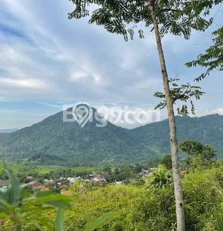 Tanah di Babakan Madang, Bogor Luas 8900m2 Dijual Segera Tanah di Babakan Madang, Bogor Luas 8900m2 Dijual Segera