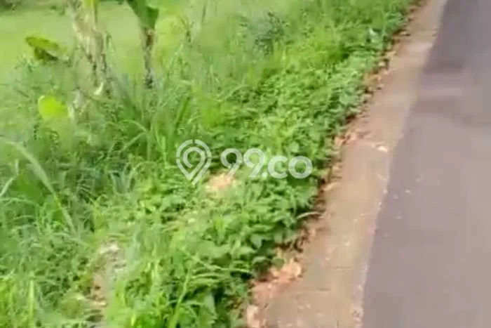 Tanah Kavling untuk Dijual di Cijeruk Bogor 8000m2 Tanah Kavling untuk Dijual di Cijeruk Bogor 8000m2