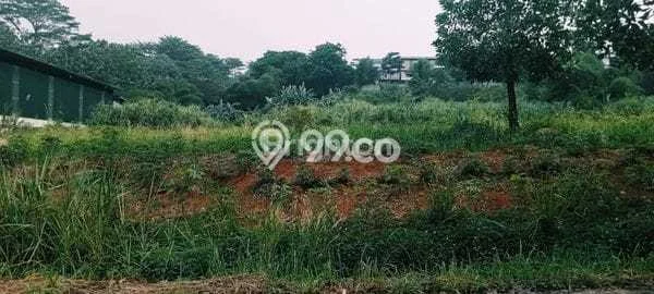 Jarang Ada! Tanah di Citeureup Punya Luas 9431m2 - Jarang Ada! Tanah di Citeureup Punya Luas 9431m2 -