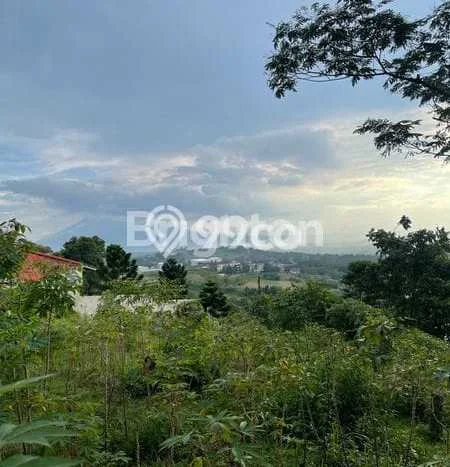 Tanah di Babakan Madang, Bogor Luas 8900m2 Dijual Segera Tanah di Babakan Madang, Bogor Luas 8900m2 Dijual Segera
