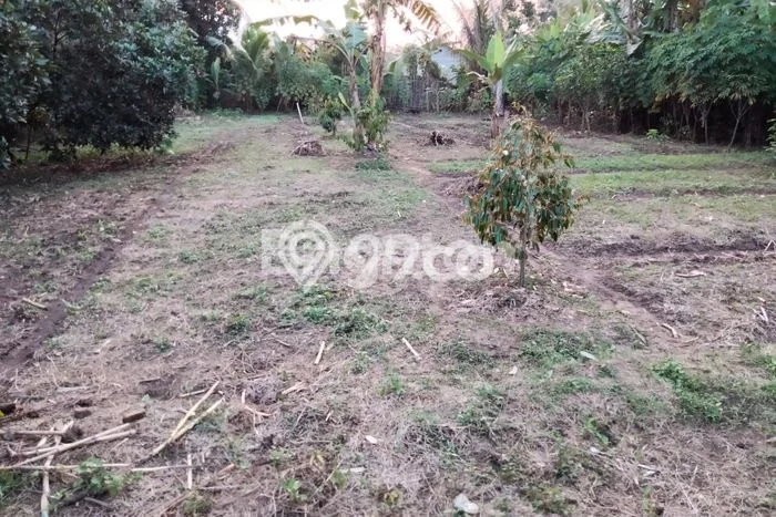 Lahan Kosong Dijual di Rangkasbitung, Lebak, Luas 1668m2 Area Strategis Lahan Kosong Dijual di Rangkasbitung, Lebak, Luas 1668m2 Area Strategis