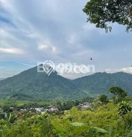 Tanah di Babakan Madang, Bogor Luas 8900m2 Dijual Segera Tanah di Babakan Madang, Bogor Luas 8900m2 Dijual Segera