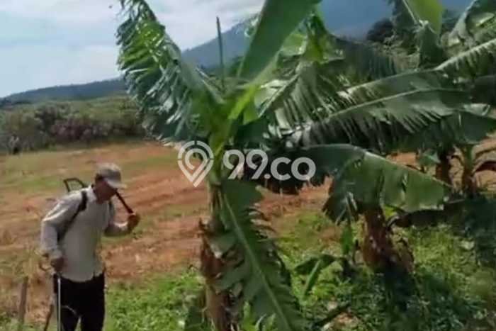 Tanah Dijual Lokasi Cigombong, Bogor Luas 20000m2 Legalitas Aman Tanah Dijual Lokasi Cigombong, Bogor Luas 20000m2 Legalitas Aman