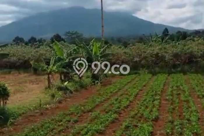 Tanah Dijual Lokasi Cigombong, Bogor Luas 20000m2 Legalitas Aman Tanah Dijual Lokasi Cigombong, Bogor Luas 20000m2 Legalitas Aman