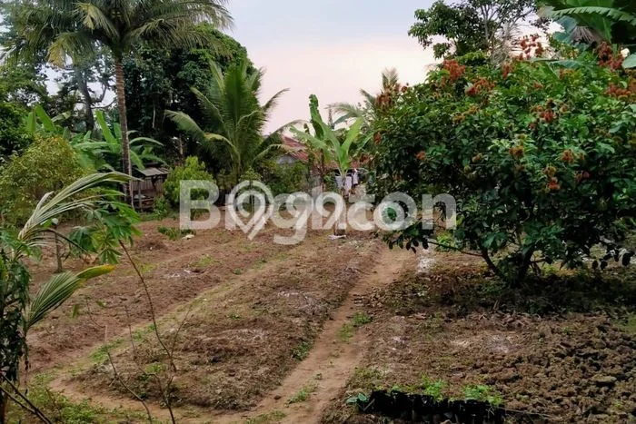 Lahan Kosong Dijual di Rangkasbitung, Lebak, Luas 1668m2 Area Strategis Lahan Kosong Dijual di Rangkasbitung, Lebak, Luas 1668m2 Area Strategis