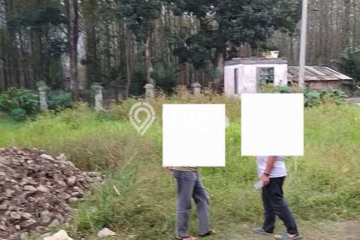 Tanah Komersial Dijual di Cikembar Sukabumi 28000m2 Tanah Komersial Dijual di Cikembar Sukabumi 28000m2