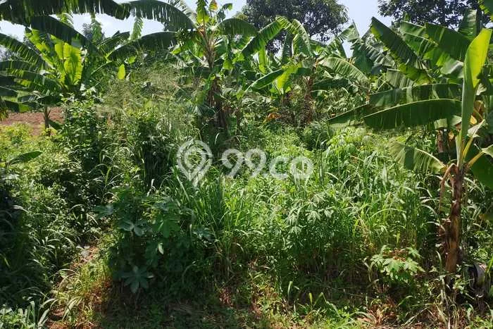 Tanah Kavling untuk Dijual di Cileunyi Bandung 35000m2 Tanah Kavling untuk Dijual di Cileunyi Bandung 35000m2