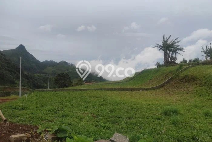 Tanah Dijual Lokasi Strategis di Bogor dengan Luas 120m2 Tanah Dijual Lokasi Strategis di Bogor dengan Luas 120m2
