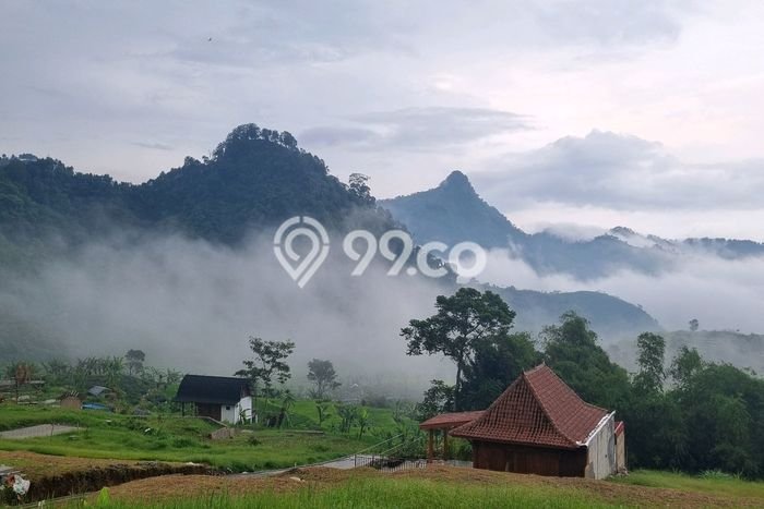 Tanah di Sukamakmur, Bogor Luas 240m2 Dijual Segera Tanah di Sukamakmur, Bogor Luas 240m2 Dijual Segera