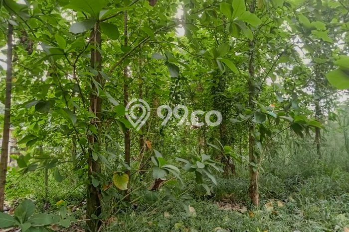 Lahan Kosong Dijual di Bogor dengan Area 1m2 Lahan Kosong Dijual di Bogor dengan Area 1m2