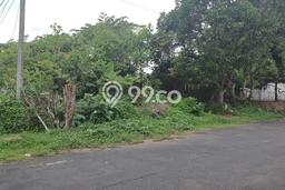 Kavling Tanah di Kaliwates Dijual Luas 13337m2 Legalitas SHM Kavling Tanah di Kaliwates Dijual Luas 13337m2 Legalitas SHM