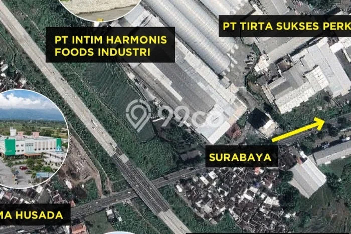 Tanah Investasi Disewakan di Sukorejo, Pasuruan, Luas 8075m2 Tanah Investasi Disewakan di Sukorejo, Pasuruan, Luas 8075m2