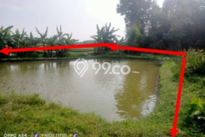 Lahan Dijual Lokasi Strategis di Kediri dengan Luas 1026m2 Lahan Dijual Lokasi Strategis di Kediri dengan Luas 1026m2
