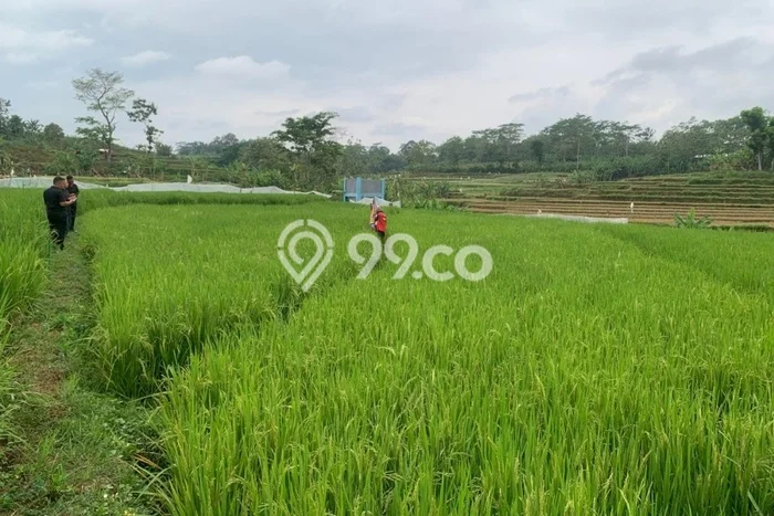 Dijual Tanah Lokasi Karang Anyar, Surakarta Seluas 509m2 Dijual Tanah Lokasi Karang Anyar, Surakarta Seluas 509m2