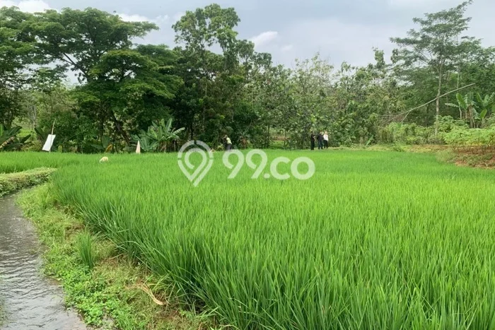 Dijual Tanah Lokasi Karang Anyar, Surakarta Seluas 509m2 Dijual Tanah Lokasi Karang Anyar, Surakarta Seluas 509m2