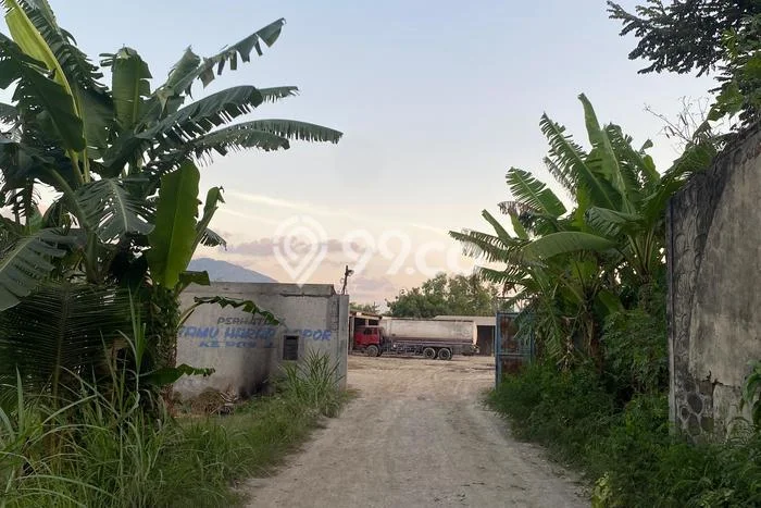 Unit Gudang Dijual di Puger Jember Luas Tanah 4817m2, Luas Bangunan 300m2 Unit Gudang Dijual di Puger Jember Luas Tanah 4817m2, Luas Bangunan 300m2