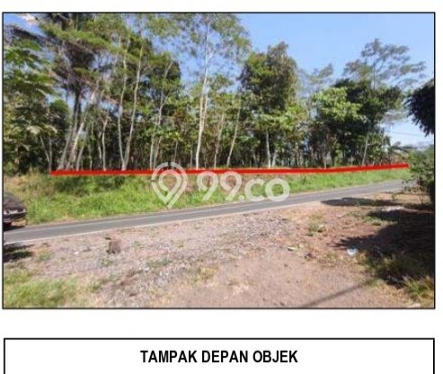 Lahan untuk Dijual di Sumberjambe Jember Luas 19773m2 Lahan untuk Dijual di Sumberjambe Jember Luas 19773m2